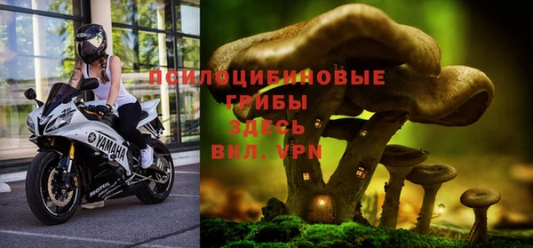 мдпв Белокуриха